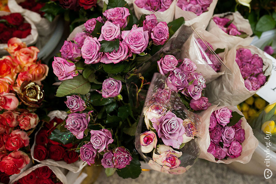 Где Купить Самые Дешевые Розы В Баранавичах