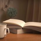 Сусветна вядомая кніга Рэя Брэдберы выйдзе на беларускай мове