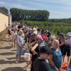 Под Минском устроили самосбор черешни – желающих оказалось так много, что образовались очереди