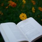 В Беларуси появился маркетплейс подержанных книг