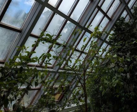 Беларусы знайшлі месца, якое нагадвае лакацыю з «Брыджэртонаў». Дзе яно знаходзіцца?