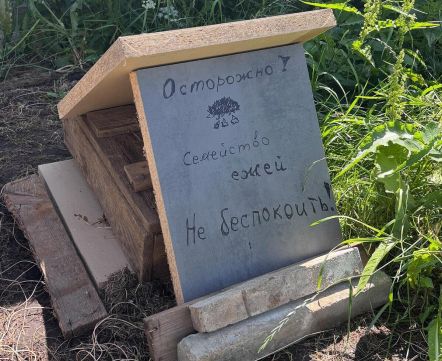 Милота! В Минске строители сделали домик для ежей, которые поселились под их вагончиком