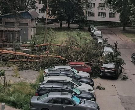 Залевы, град і затопленыя вуліцы. Непагадзь накрыла Беларусь, а Мінск зноў сышоў пад ваду