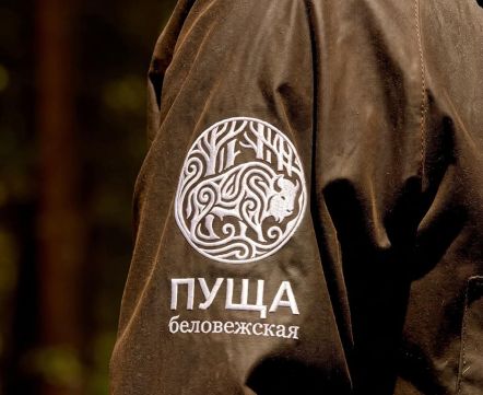 Беларуский дизайнер предложил новые варианты логотипов для Беловежской пущи и «Дудуток»