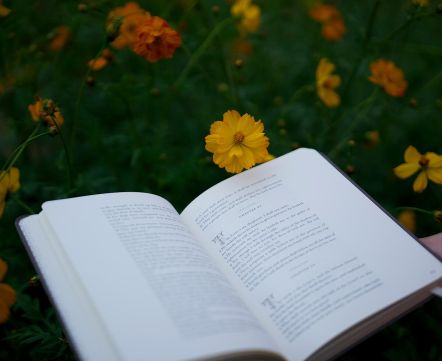 В Беларуси появился маркетплейс подержанных книг