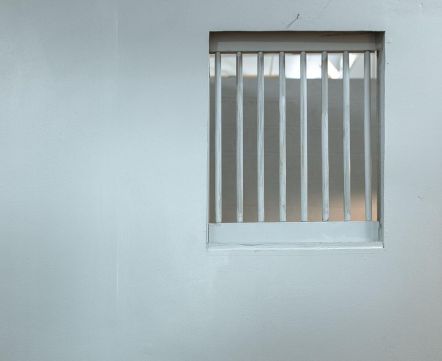 Руководитель ZROBIM architects из СИЗО пытается продать красивый участок на берегу реки