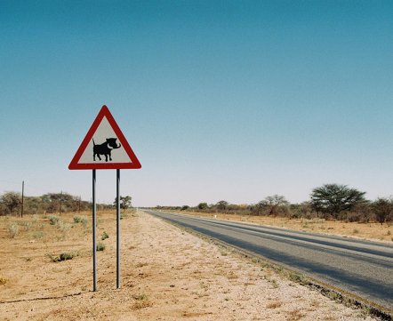 Ну, как съездил: в Намибию – «Мы сбили Пумбу, и это было очень страшно»