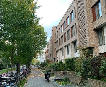 «До любой точки города можно доехать за 20 минут на велосипеде». Беларуска показывает свою квартиру в Амстердаме