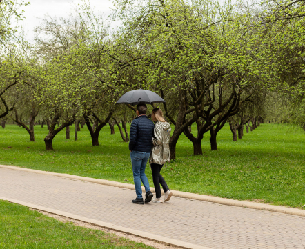 Тихо, красиво, дождливо: посмотрите, как сейчас выглядят минские парки Горького, Челюскинцев – и, конечно, Лошицкий парк