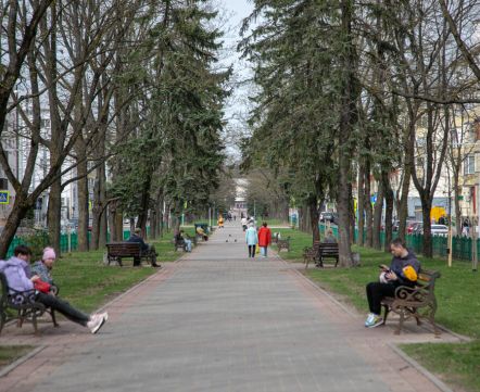 «Это зеленый рай почти в центре Минска». Как живется в хрущевках на бульваре Шевченко