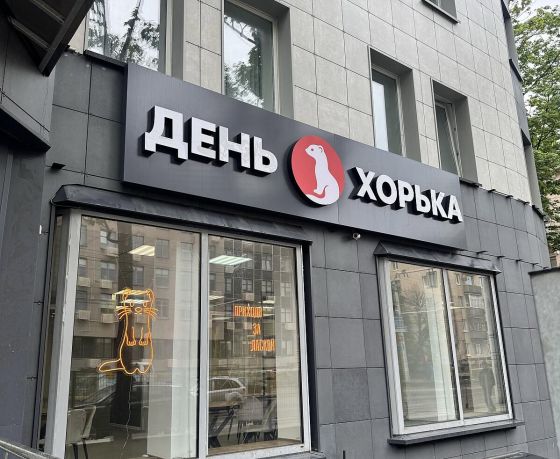 В Минске открылось первое в Беларуси кафе с хорьками и ласками. Но ему уже желают закрыться, в чем дело?