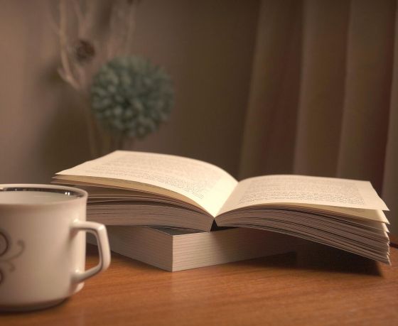 Сусветна вядомая кніга Рэя Брэдберы выйдзе на беларускай мове