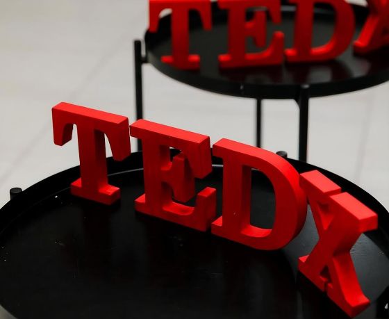 Выступления первого TEDxUlicaMińska в Варшаве теперь можно посмотреть бесплатно. Рассказываем где