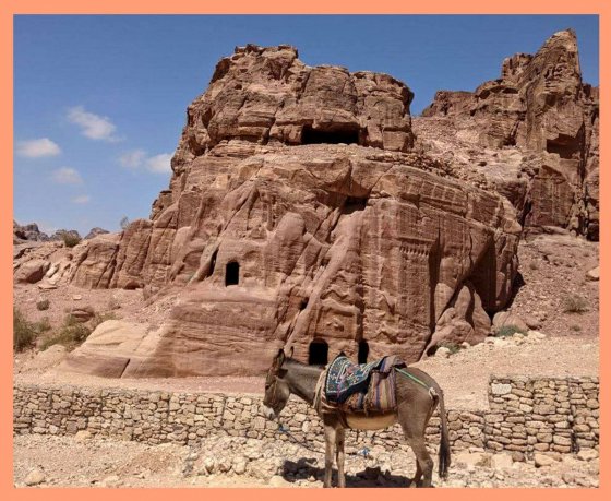 Ну, как съездили в Иорданию: город мертвых, пустыня, где снимали «Дюну», и самая вкусная шаурма в жизни