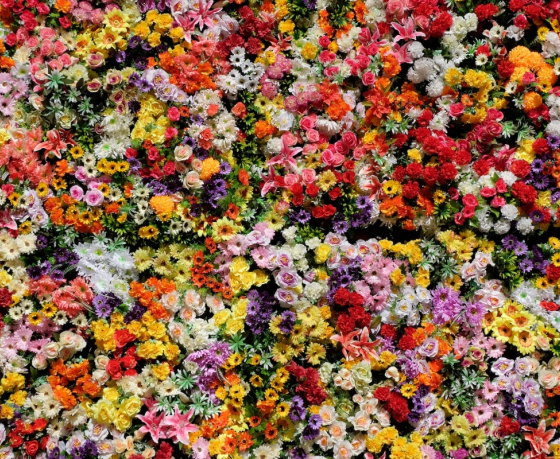 Думаете, как украсить квартиру цветами? Вот вам вдохновение: посмотрите на растения в домах самых богатых беларусов