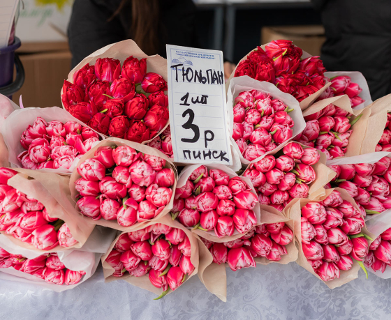Тюльпаны от 3 рублей, мимозы от 2 рублей: узнали, где и за сколько на улицах Минска можно купить цветы накануне праздника