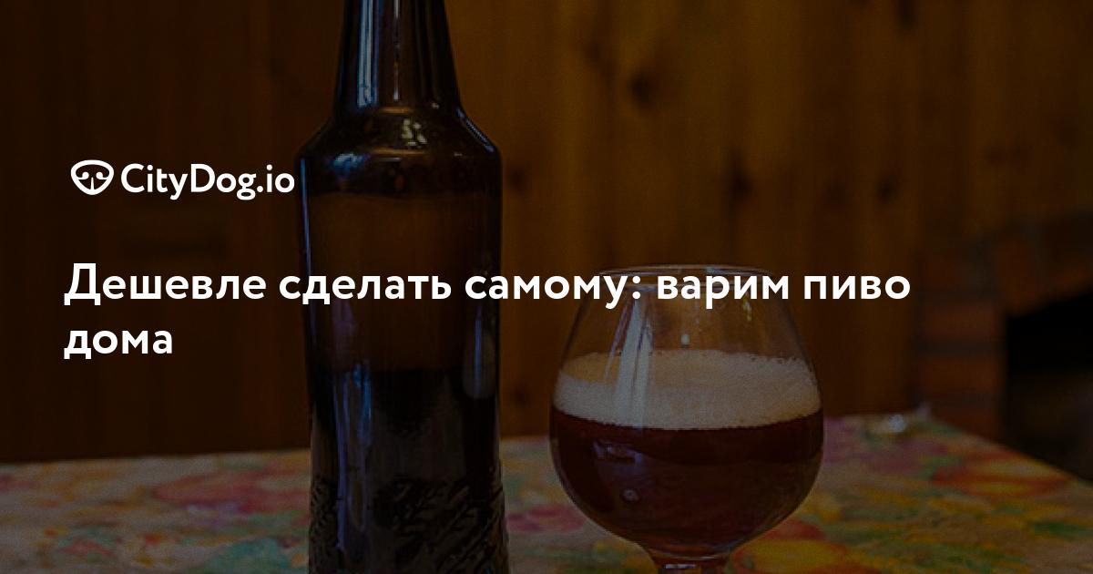 Как сварить пиво в домашних условиях и зарабатывать на продаже | Что? Где? Почем? | Дзен