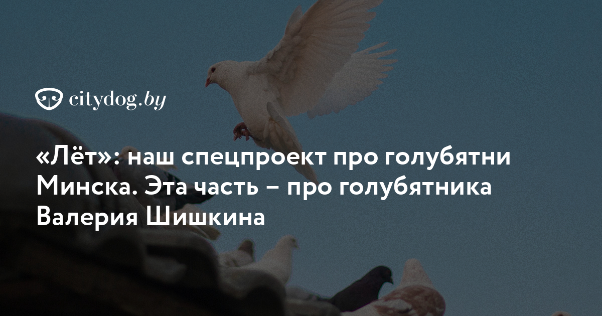 «А кто их будет сейчас покупать?»: как доживает свой век одна из последних голубятен Архангельска