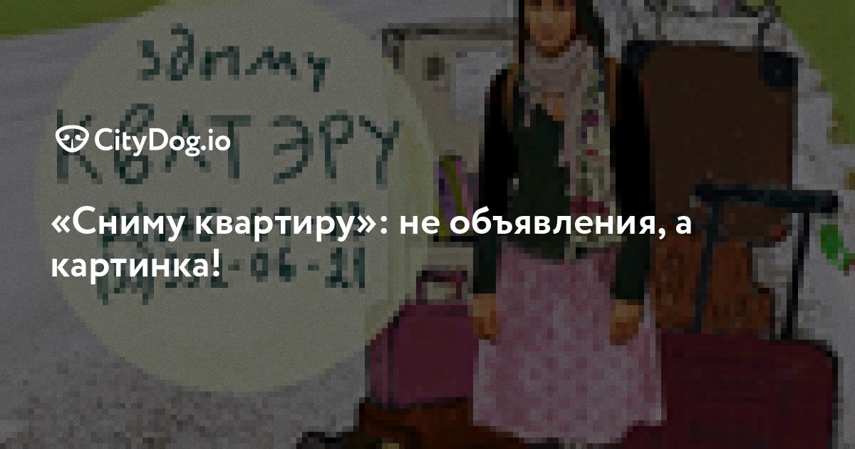 «Сниму квартиру»: не объявления, а картинка! - nate-lit.ru