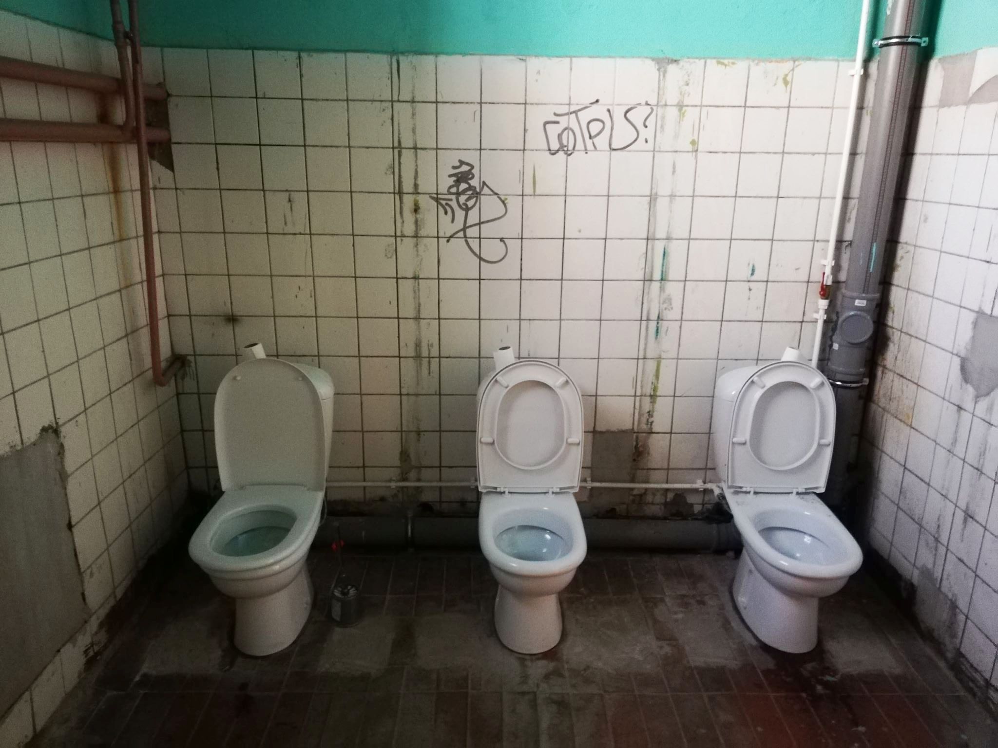 Вк школа туалет. Унитаз в школе. Унитаз общественный.