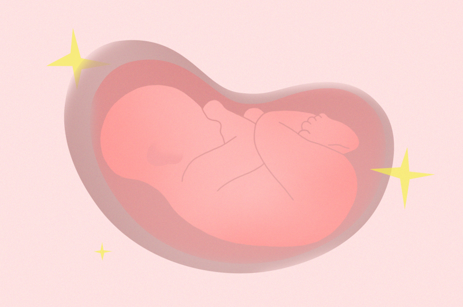 Подготовка к беременности при варикозе