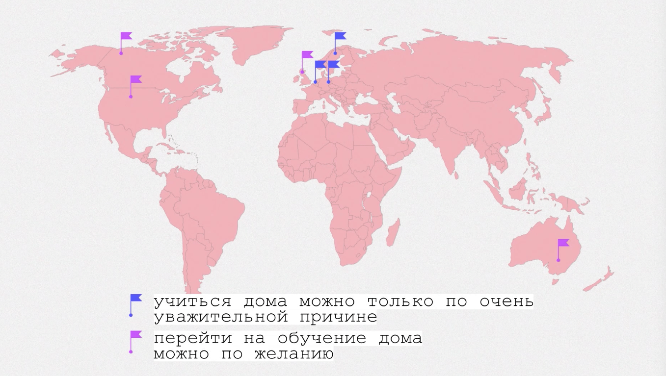 Она постоянно жаловалась, что болит голова, вплоть до тошноты». Как понять,  что вашему ребенку лучше учиться дома? - CityDog.io