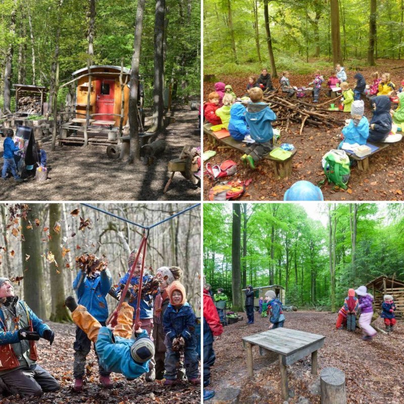 Лесной детский сад. Waldkindergarten (Лесной детский сад). Лесные детские сады в Германии. Садик в лесу в Германии.