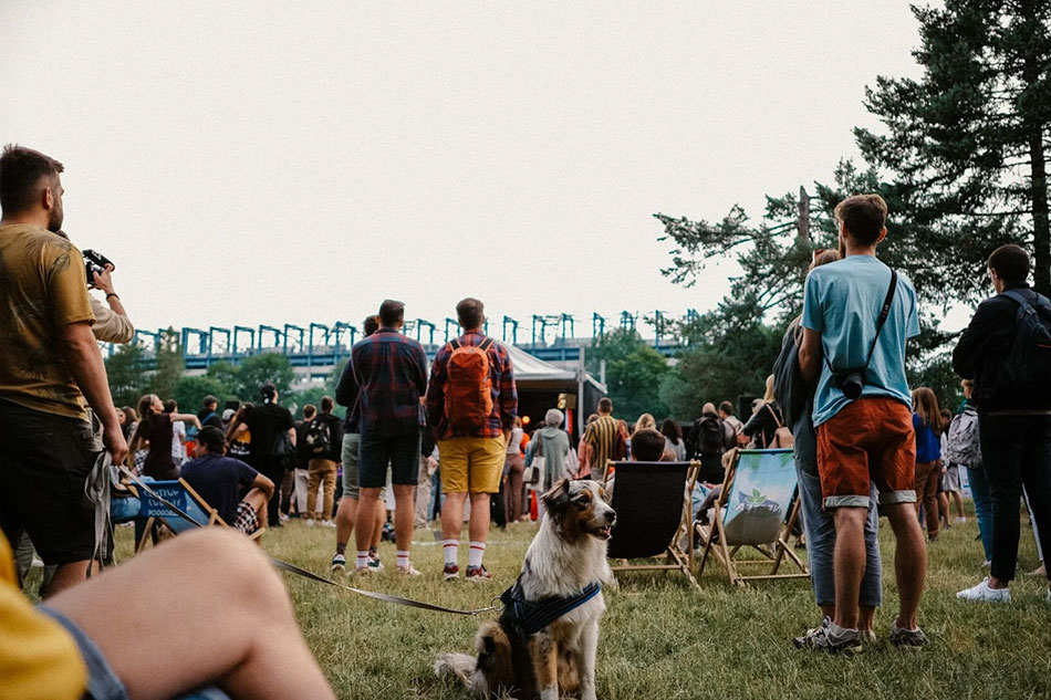 Люди и собака на фестивале в Кракове.