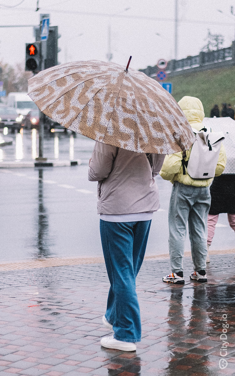 Женщина с зонтом на Немиге.