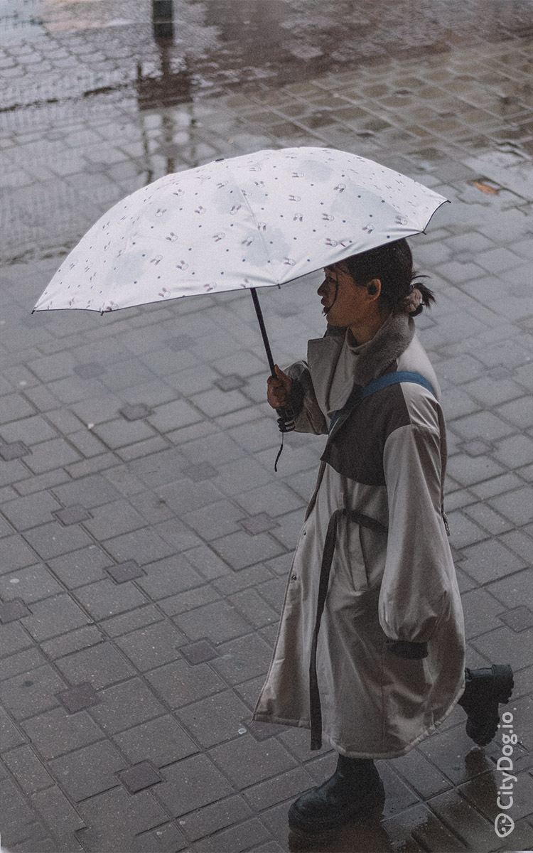 Девушка в необычном плаще с зонтиком.