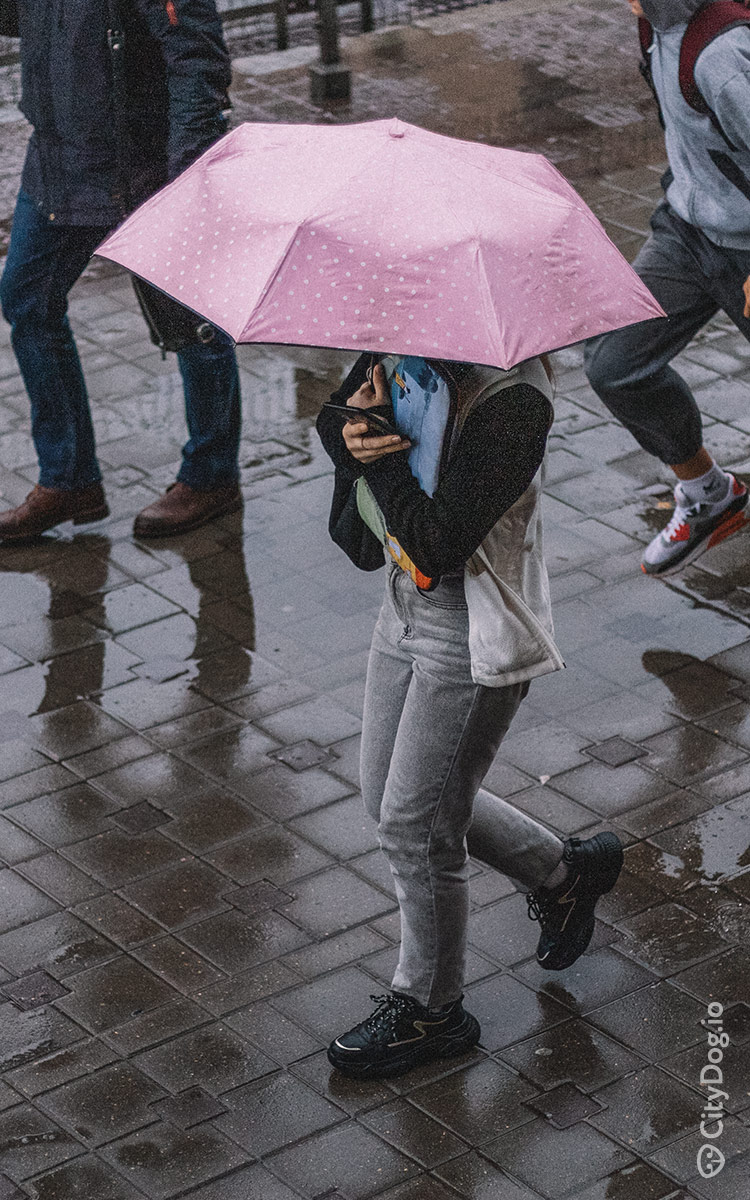 Девущка под зонтом идет и смотрит в смартфон.