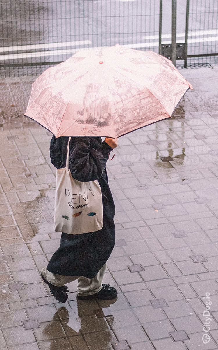 Девушка с сумкой и под зонтом на Немиге.