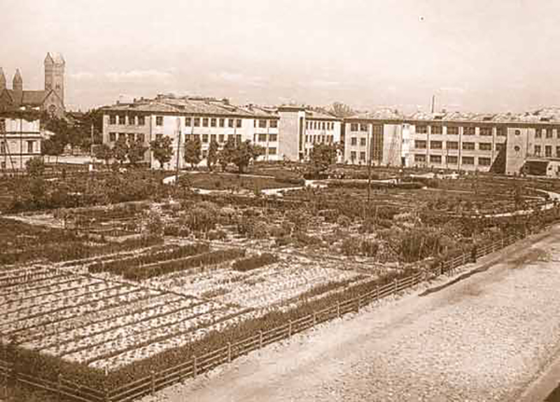 Университетский дворик БГУ в 1930-е годы.