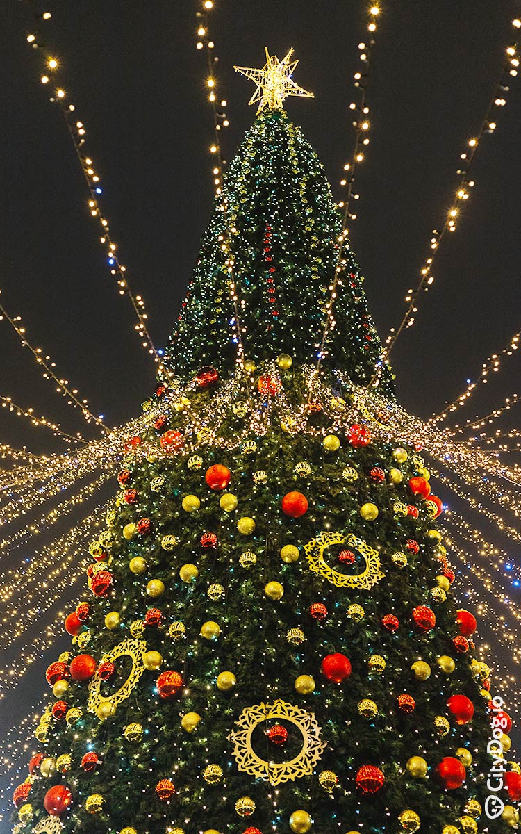 Новогодняя елка, украшенная шарика и световые гирляндами.
