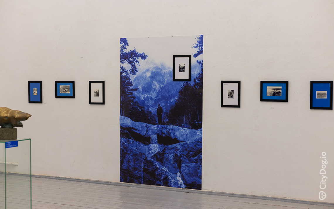 Фотографии на белой стене с синими фотоабоями.