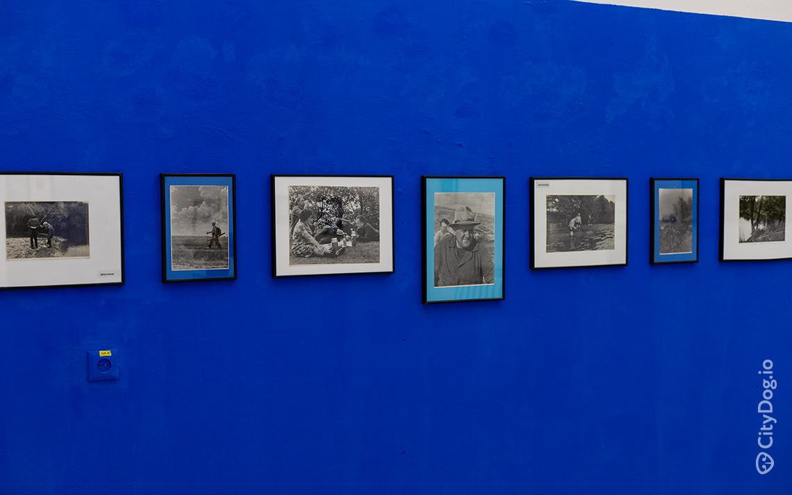 Фотографии на яркой синей стене.