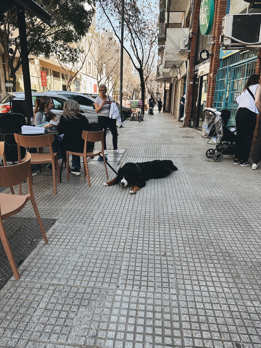 Уличное кафе со столиками в Аргентине.