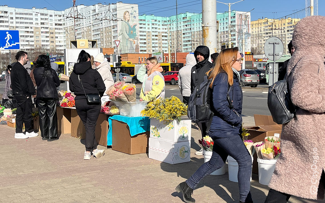 Тюльпаны и мимозы на 8 Марта в Минске.