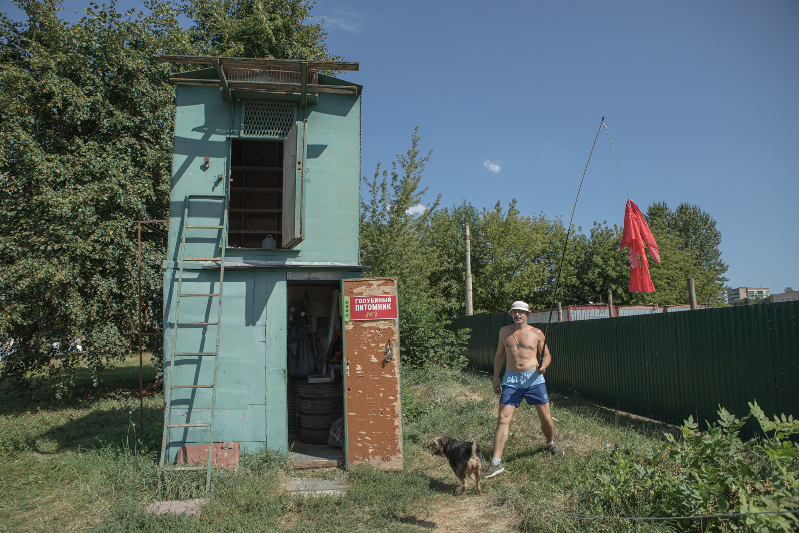 что не запечатлено на первой в мире фотографии колодец башня голубятни грушевое дерево крыша амбара